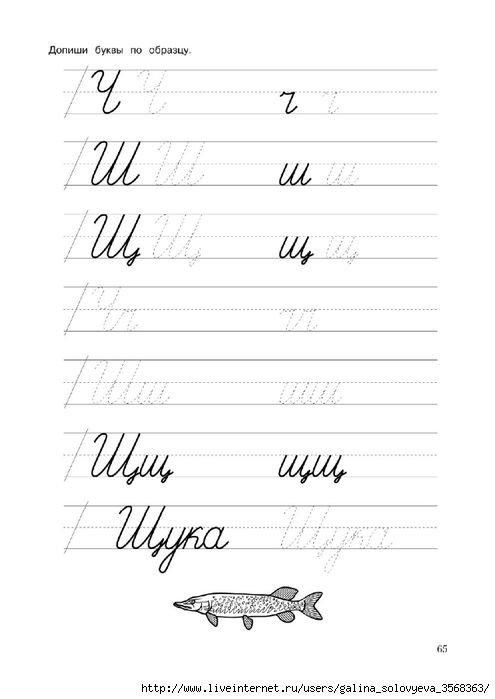 Прописи ц и щ