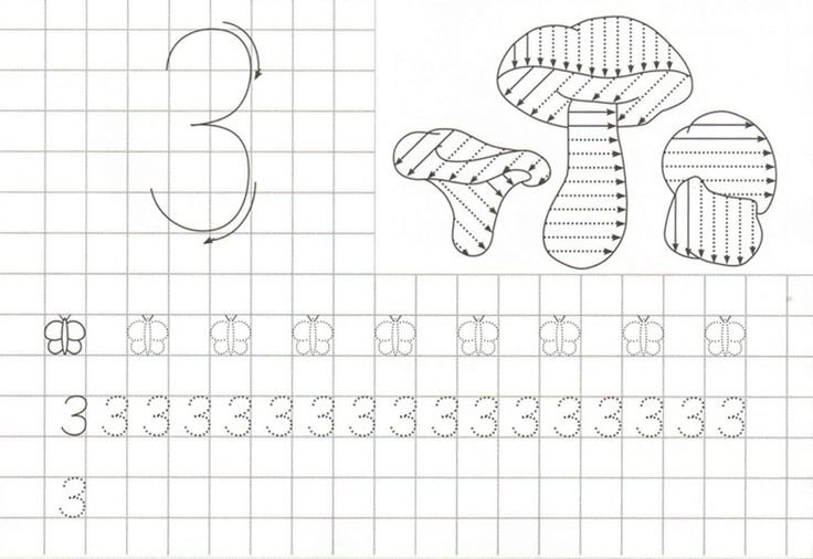 Прописи цифра 6 для детей 5-6 лет