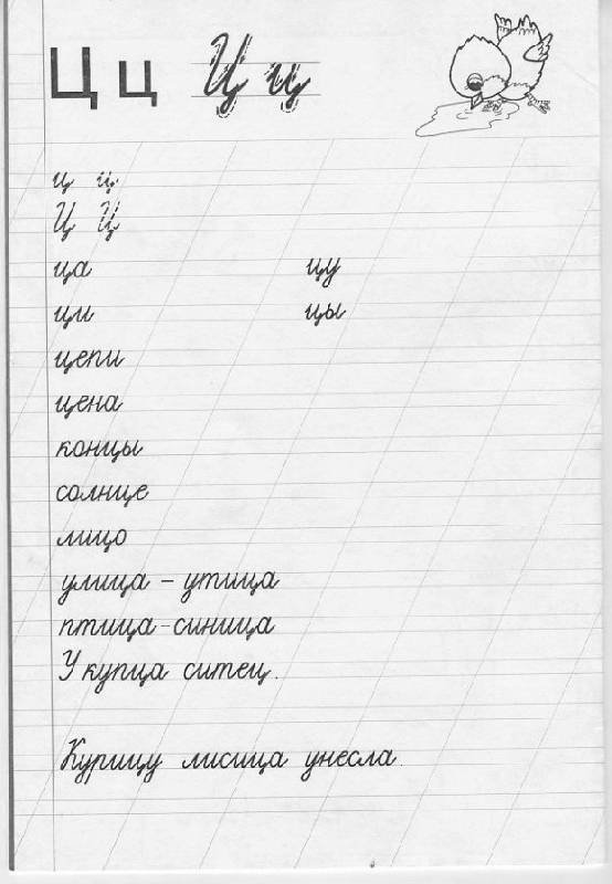 Пропись строчной буквы ц