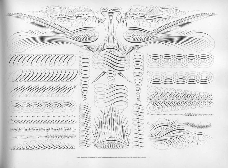 Упражнения по каллиграфии