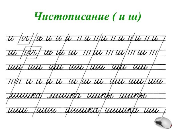 Чистописание буква ш 1 класс