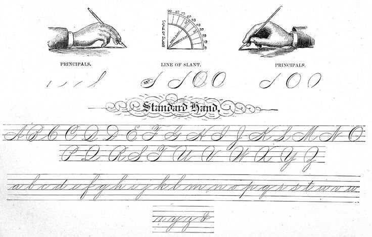 Прописи для каллиграфии для начинающих самоучитель