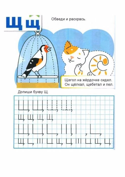 Буква щ пропись для дошкольников