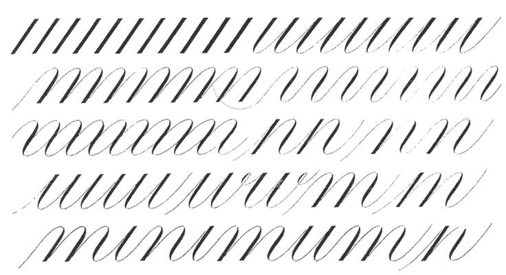 Упражнения для каллиграфического почерка для начинающих