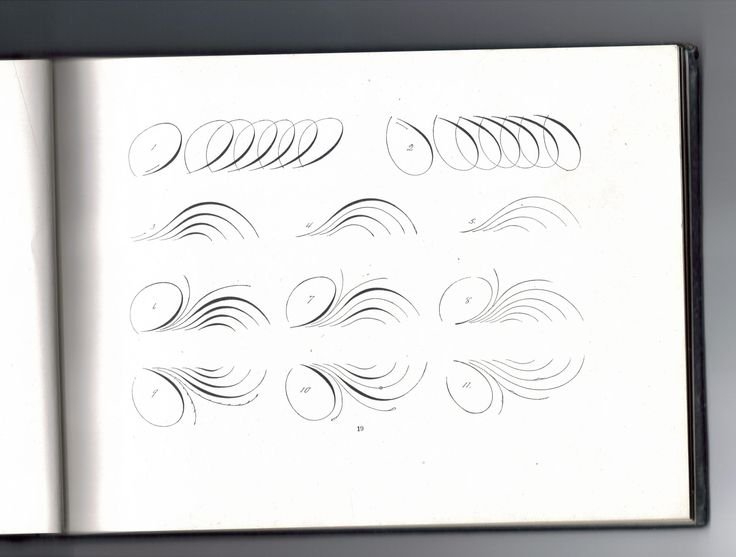 Упражнения для росчерки каллиграфия