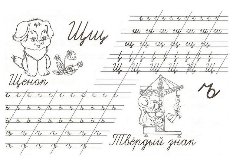 Буква щ пропись для дошкольников
