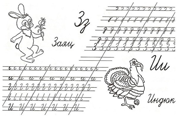 Прописи для дошкольников буквы