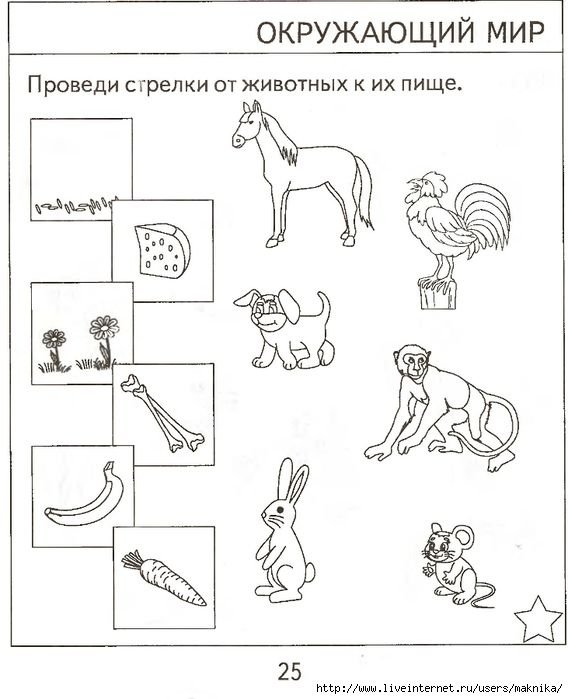 Окружающий мир для дошкольников