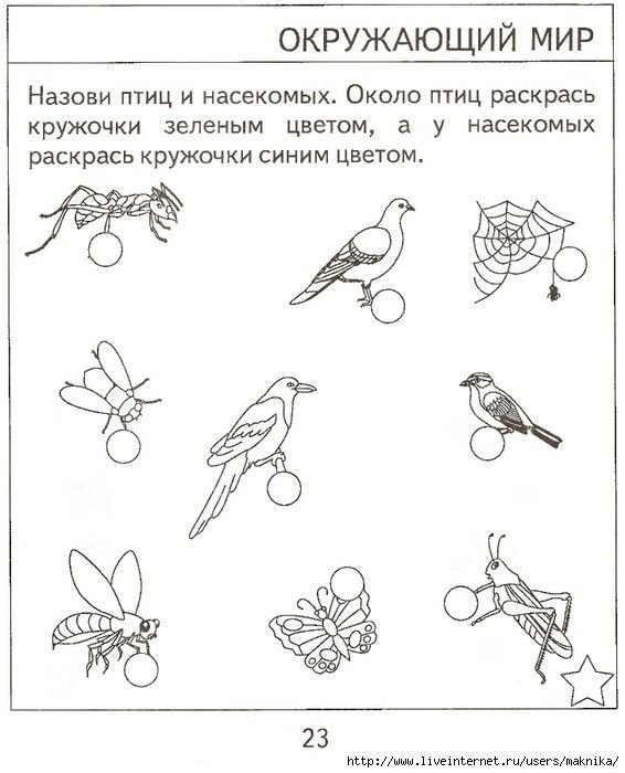 Задание для дошкольников 5 лет окружающий мир
