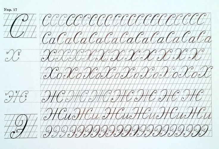 Прописи для каллиграфии взрослых