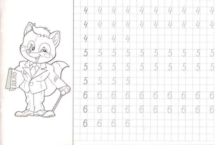 Прописи цифры для дошкольников 5-6