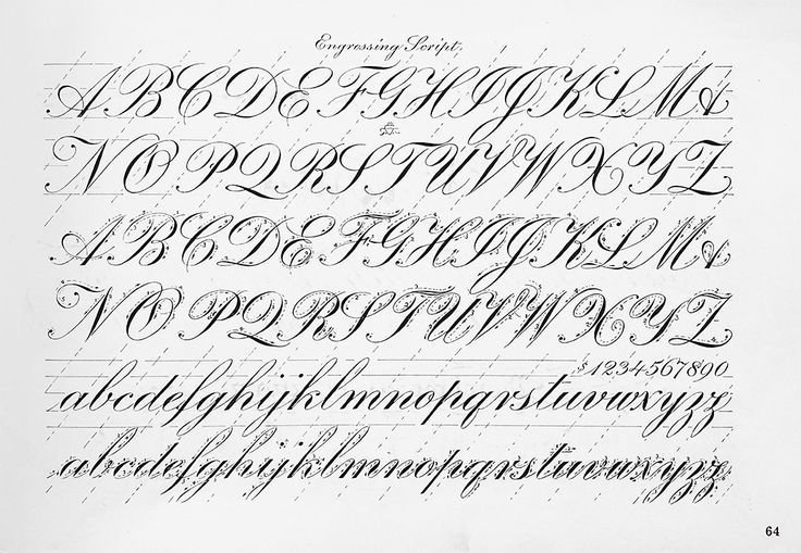 Прописи для каллиграфии английский Copperplate