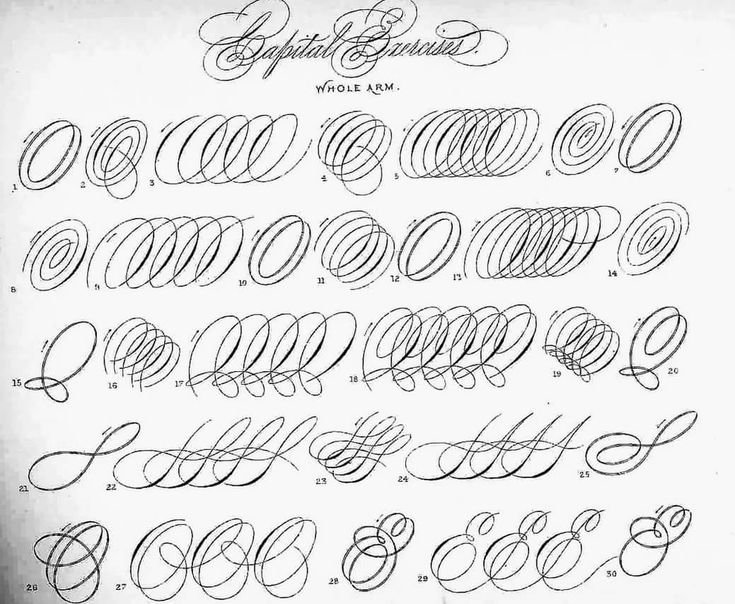 Упражнения для тренировки каллиграфического почерка