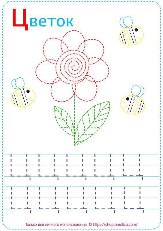 Буква ц пропись для дошкольников