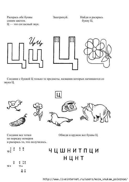 Звук и буква ц задания для дошкольников