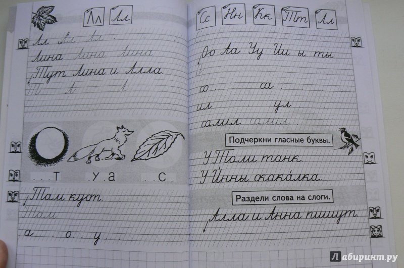 Прописи первый класс ДНР