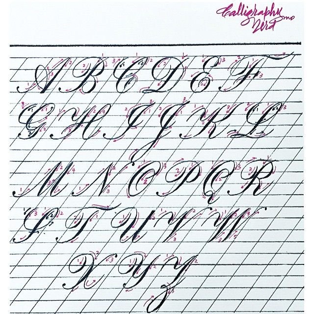 Каллиграфия копперплейт прописи