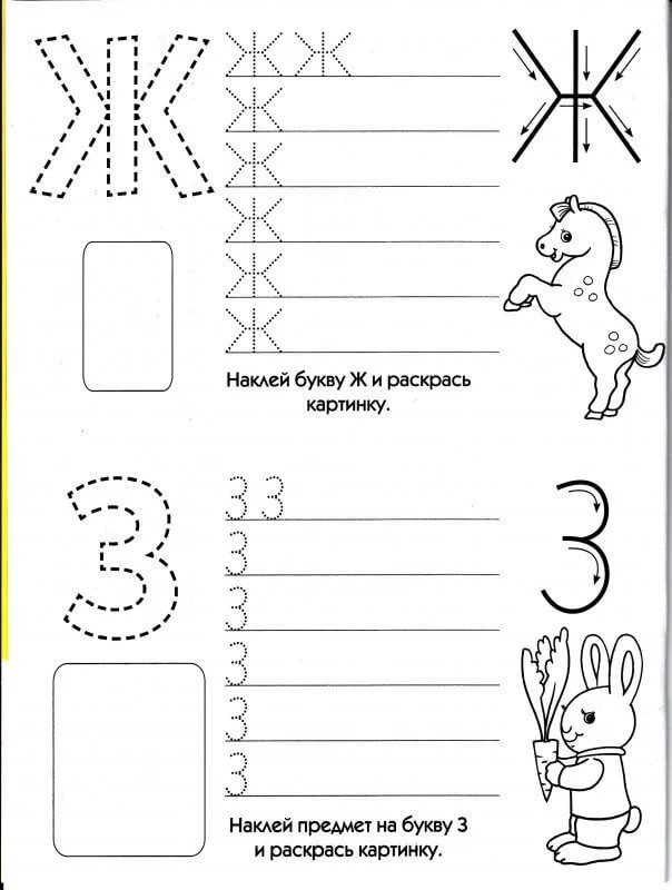 Буква ж печатная пропись