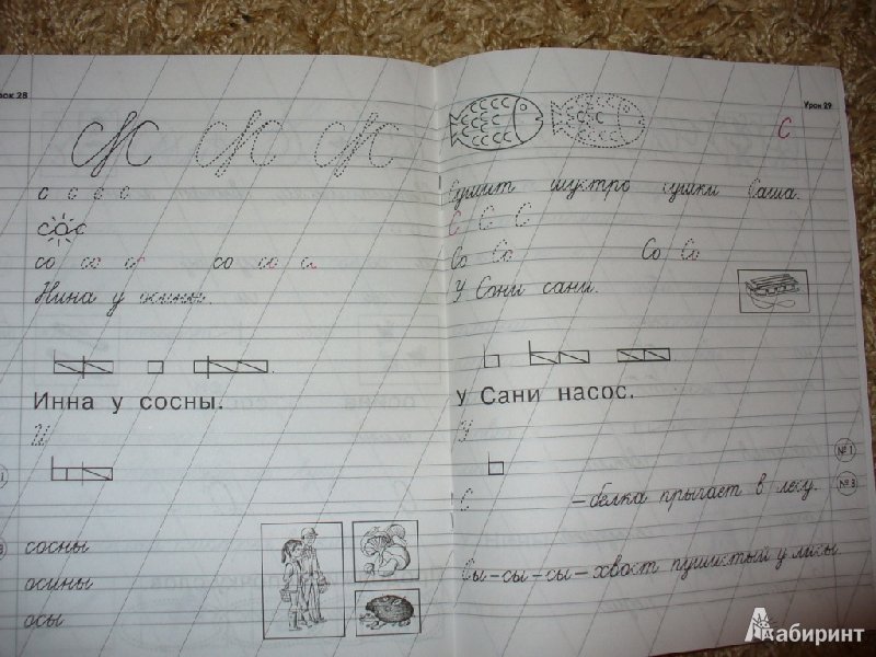 прописи в реке живет