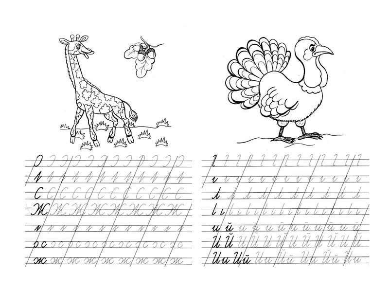 Прописи буква ж прописная