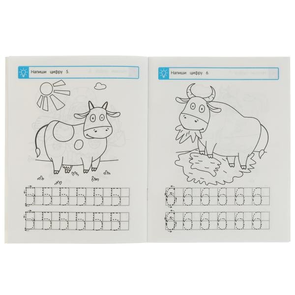 Прописи голубого цвета