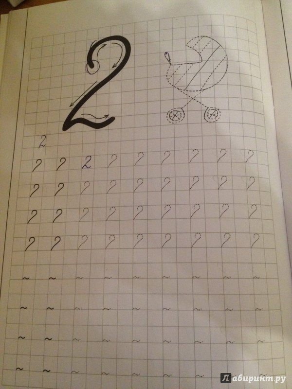 Цифра 3 пропись