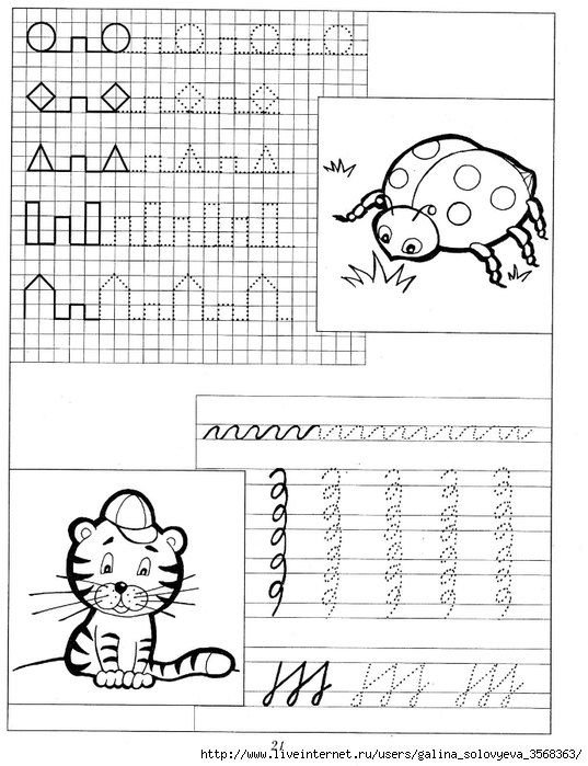 Математические прописи для дошкольников
