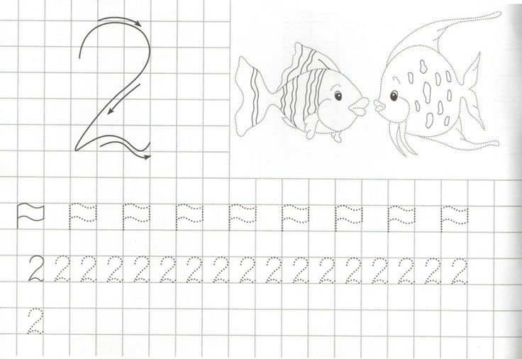 Прописи для дошкольников 5-6 лет цифра 2