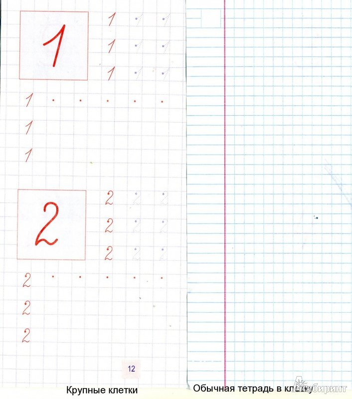 Прописи цифр