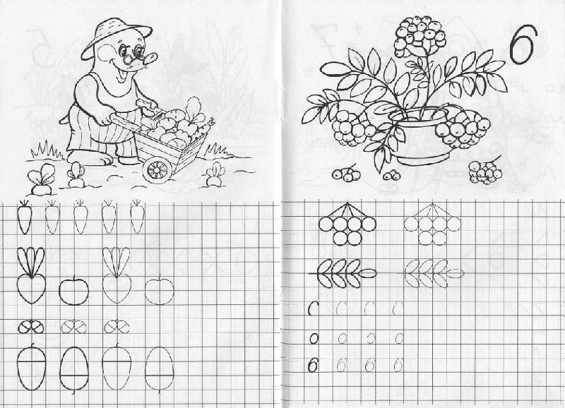 Прописи по математике для дошкольников