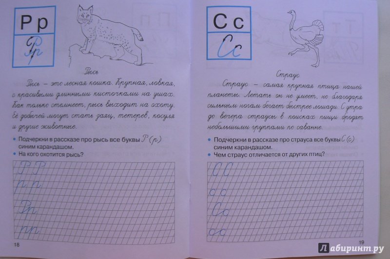 Прописи с рассказами о животных