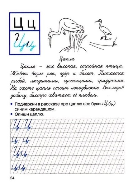 Прописи для исправления почерка у школьников