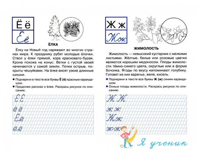 прописи с рассказами о птицах