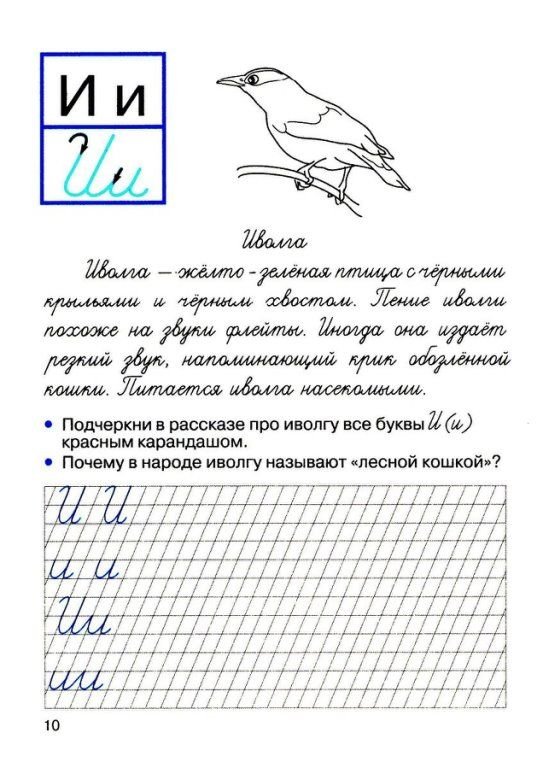 Ларина прописи с рассказами о животных