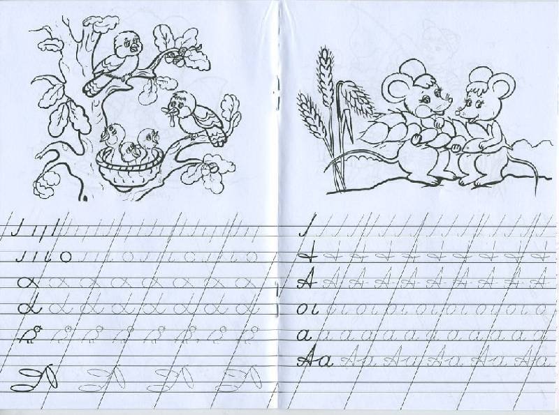 Прописи. Чистописание