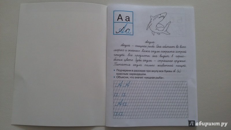 Прописи Ларина 1 класс