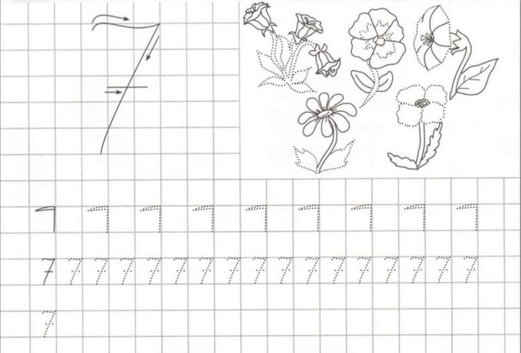 Прописи цифры для дошкольников 6-7