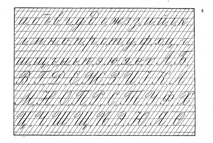 Разлинованный лист для каллиграфии