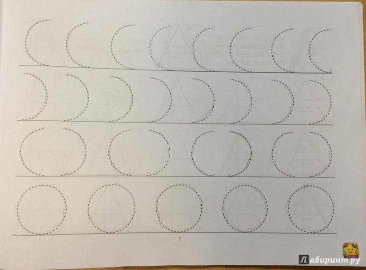 Пропись Мои первые прописи