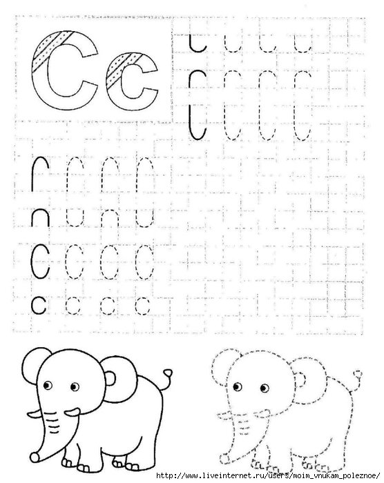 Буквы в клетках прописи
