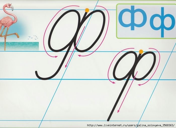 Прописная буква ф 1 класс