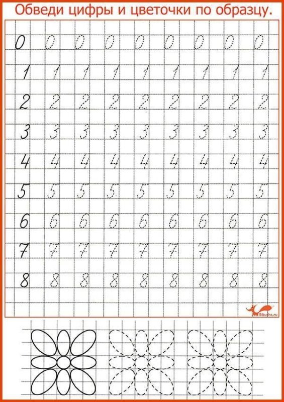 Прописи цифры для дошкольников прописные