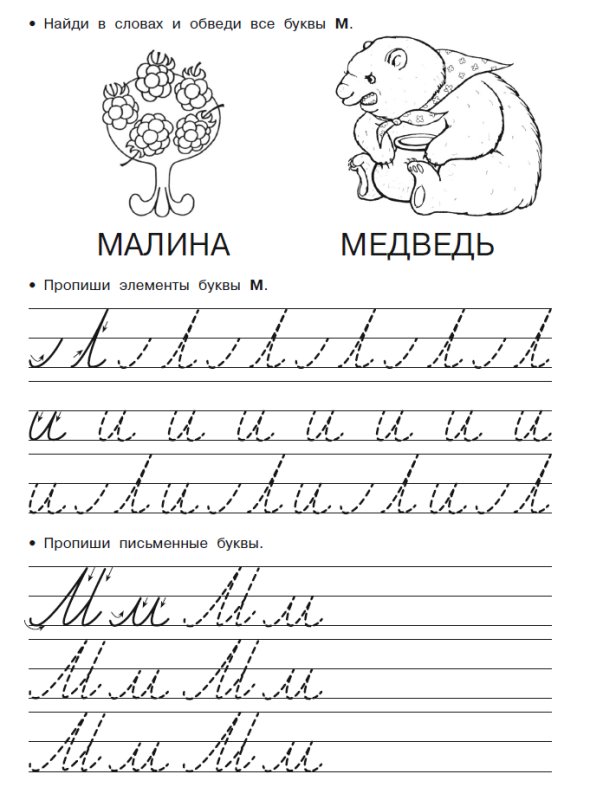 Логопедические прописи для дошкольников Новиковская