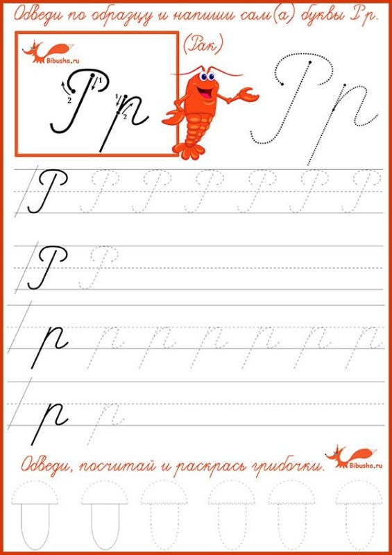 Прописи буква р прописная