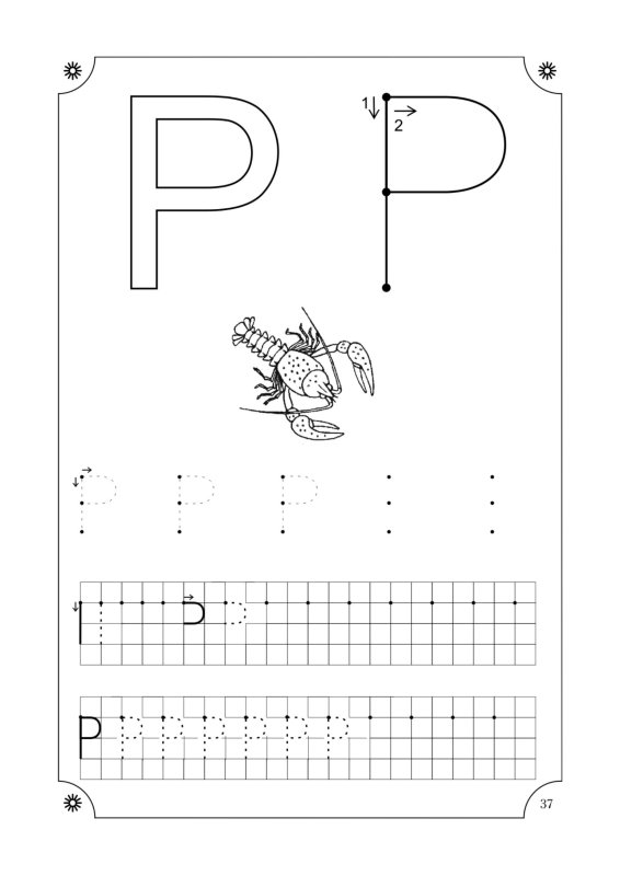 Буква р пропись печатная
