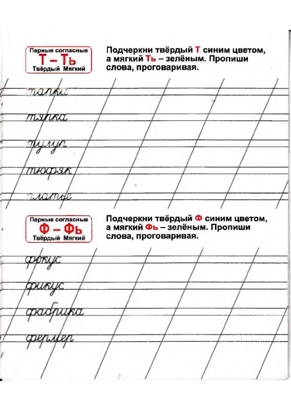 Пропись твердый и мягкий знак для дошкольников
