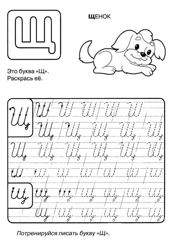 Прописи для дошкольников буквы прописные буква щ