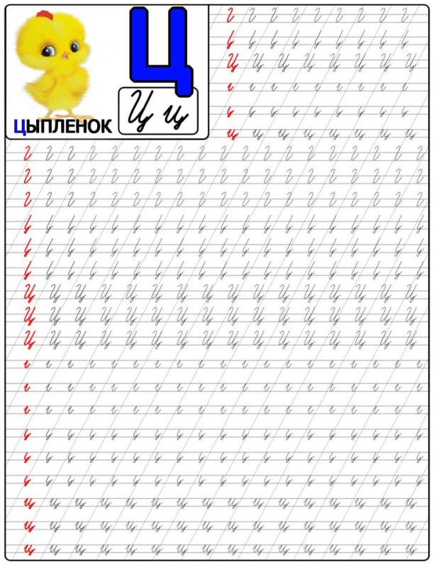 Прописи для дошкольников алфавит прописные буквы