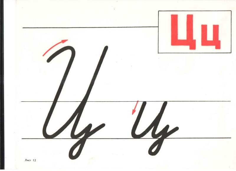 Строчная буква ц