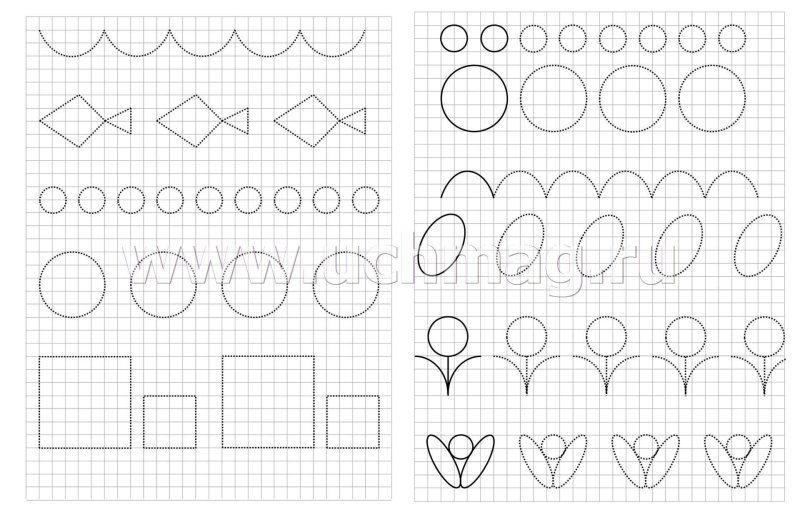 Прописи по клеточкам для дошкольников